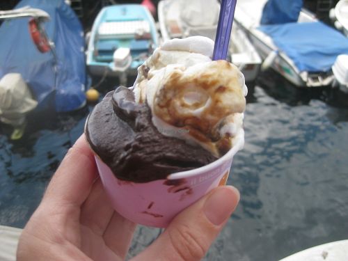 Chocolate and cream and fig (vegan gelato) at La Passerella Srl in Varenna