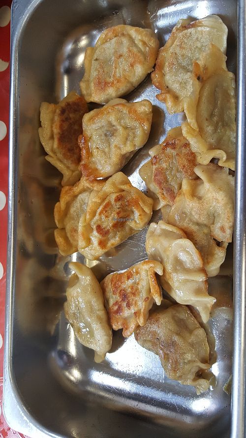 Dumplings at Olo Kitchen in Manchester