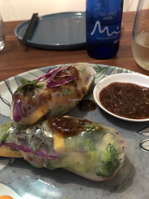 Summer rolls at Pezetarian in Cartagena