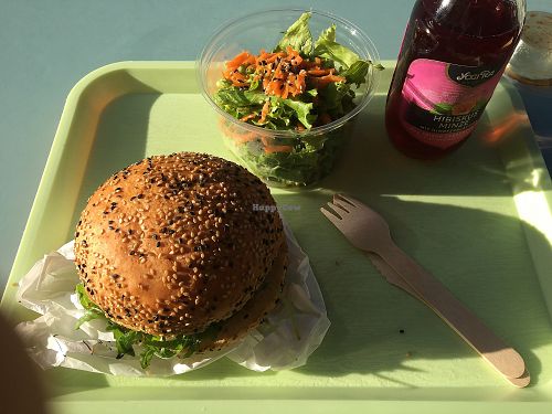 Veggie burger w/ salad in plant plastic for the win   at Velicious Burger in Strasbourg