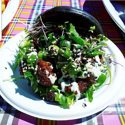 fancy burgers at Vegan Food Fair SA in Pretoria