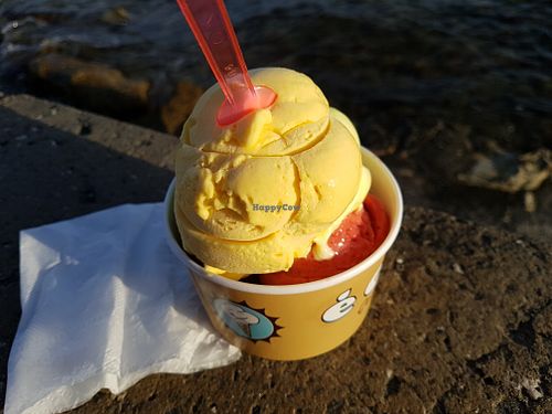 Vegan flavors: limoncello, mango, dark chocolate and strawberry at E Cosi Gelateria in Paphos