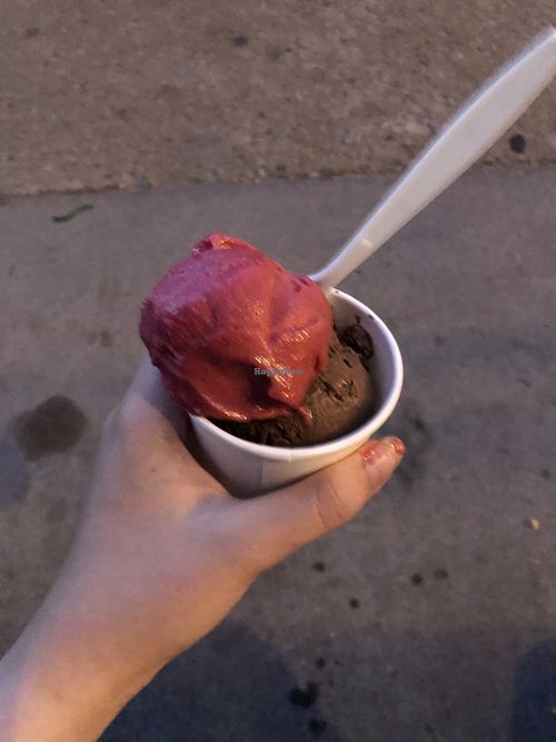 Coneflower Creamery Omaha Nebraska Ice Cream HappyCow