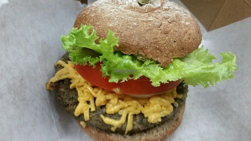 taro burger with daiya at Hawaiian Moons Cafe & Juice Bar in Kihei