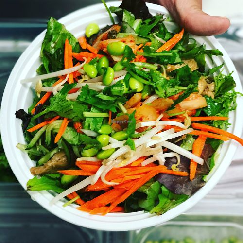 salad with protein $7 at Nice Noodles in Omaha