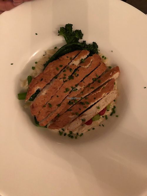 Orzo chicken  at P.S. Kitchen in New York City