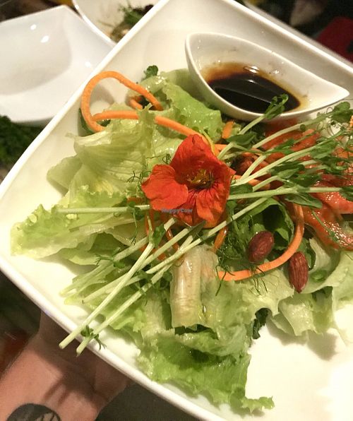 Green salad at Hari OM Food and Wellness in Uvita