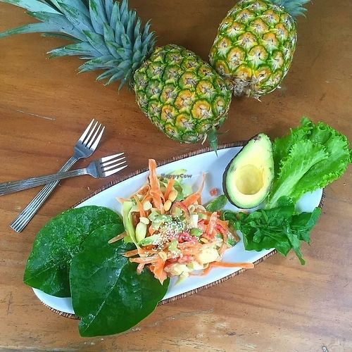 Raw pad thai at Hari OM Food and Wellness in Uvita