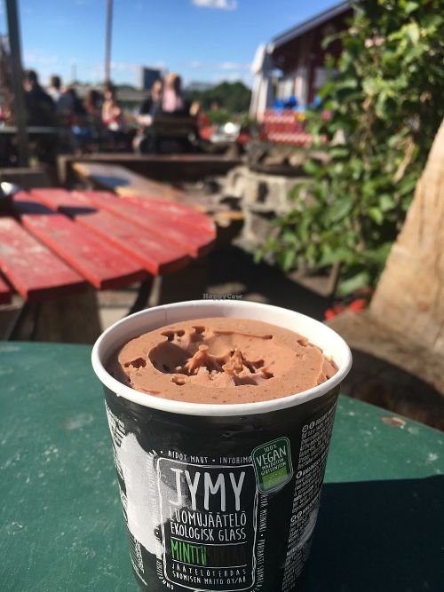 Vegan mint chocolate ice cream. at Regatta in Helsinki
