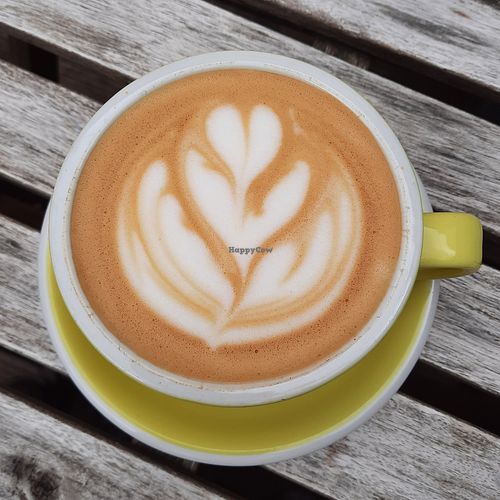 Oat latte at Ancestors Coffee in Norwich