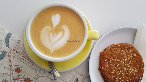 A very nice oat milk latte at Ancestors Coffee in Norwich