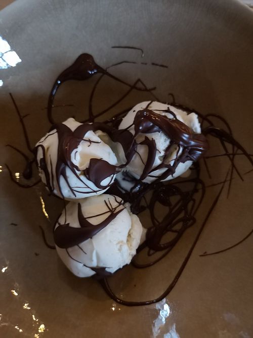 Vegan dame blanche at  De Oude Gasfabriek in Groningen