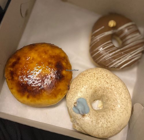   at Blue Vegan Pig Shop in Prague