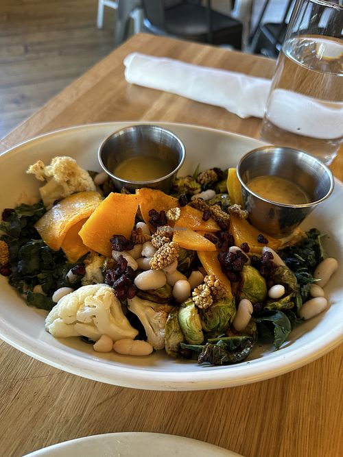   at True Food Kitchen in Denver