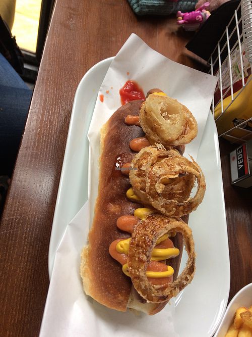 Classic dog at The Firefly in Hereford