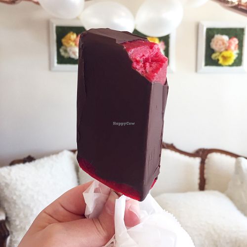 Vegan friendly fruit pops dipped on dark vegan chocolate. at CocoAndre Chocolatier in Dallas
