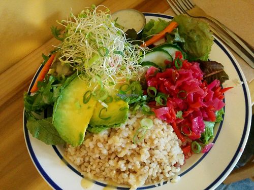 Plate with steamed rice at New Moon Foods in Pahoa
