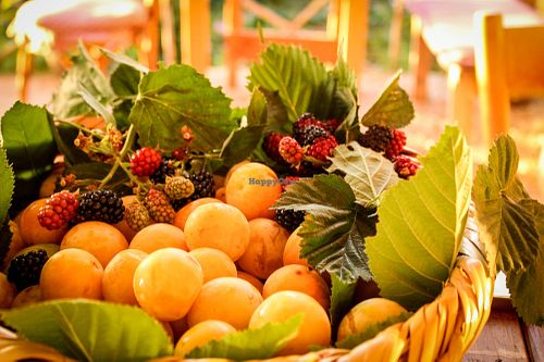 fruit bowl at Coara  in Kfar Katra