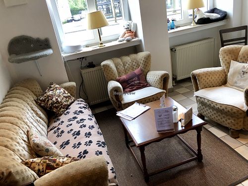 inside at Katzencafe Miezhaus in Bielefeld