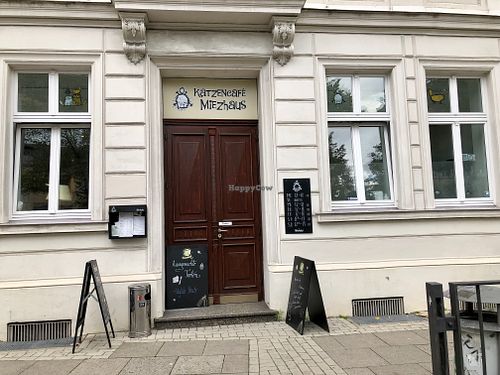 outside at Katzencafe Miezhaus in Bielefeld