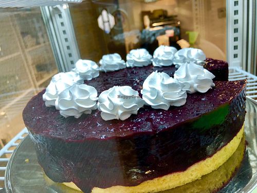 cake!!! at Katzencafe Miezhaus in Bielefeld