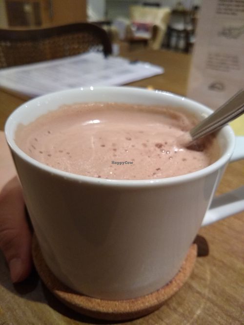 Heiß kakao at Katzencafe Miezhaus in Bielefeld