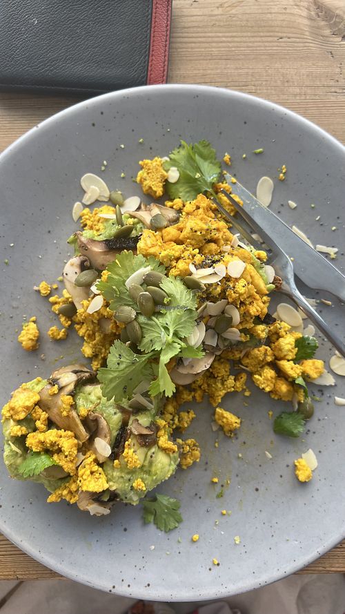 Tofu/Avocado toast (modified for me) ♥️ they didn’t y have vegan cheese so gave me a delicious avocado instead. Bread was so yummy and fresh   at Nude Cafe in Ibiza