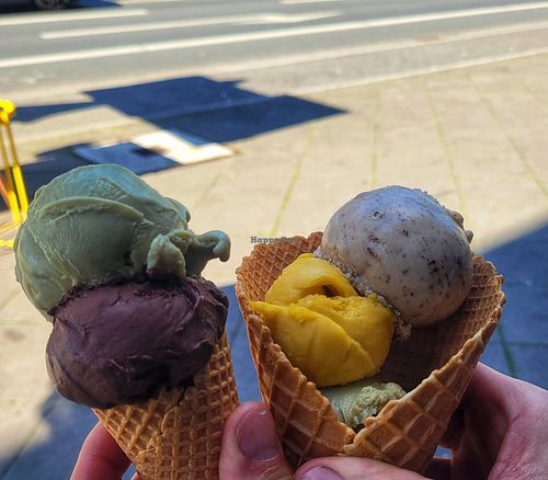  at Kugelpudel Garten Eden in Dortmund