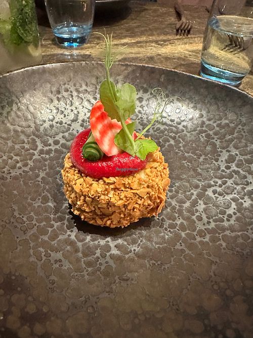  at Navadhanya in Cambridge