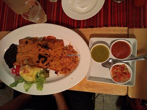 Enchiladas at Salsa Kitchen - Huay Kaew in Chiang Mai