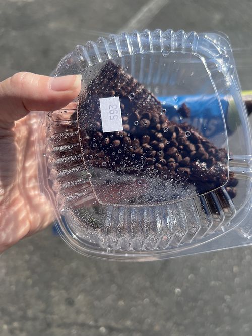   at High Country Cafe in Mariposa