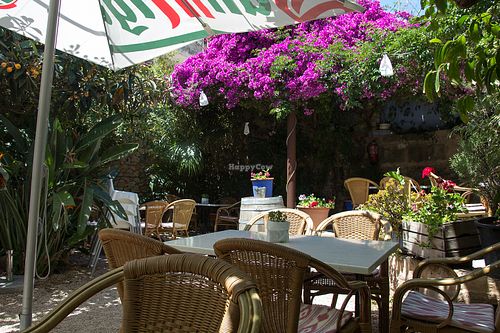 Cosy seating in the green courtyard at La Mar de Vins in Mallorca