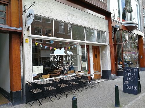 Cat café "Ditjes & Katjes" at Kattencafé Ditjes & Katjes in The Hague