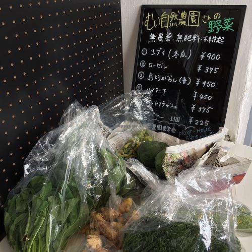 Fresh local produce, organic  at plant-HOLIC in Ginowan