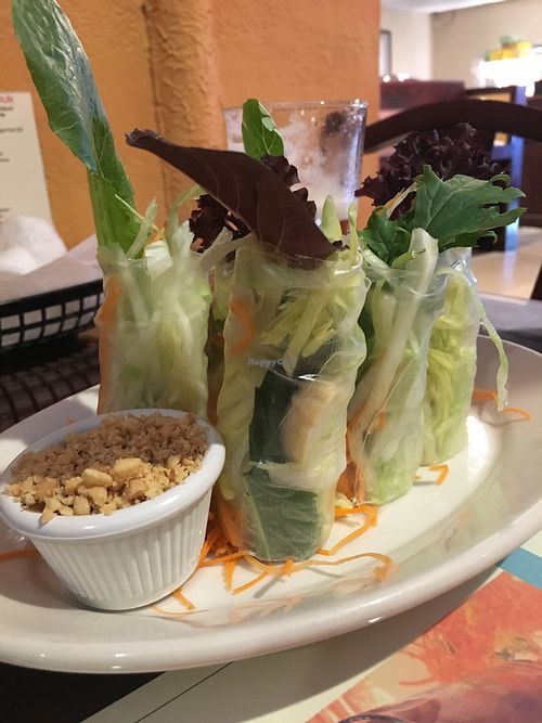 Garden rolls at EZ Thai Too in Solomons
