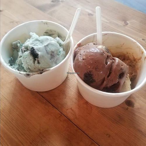 Mint Chip and Rockiest Road. at Anti Social Icecream Co in Austin