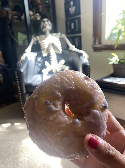 Highly Recommend the Blueberry Donut - So Tasty AND Fluffy 🍩😜💗  at Vegan Donut Gelato in Oakland