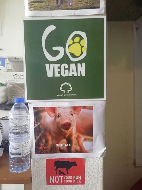Remembering why we're vegan at Veggie Momi in Albufeira
