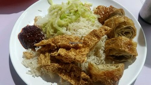 chicken rice at Tofu Vegetarian Food in West Singapore