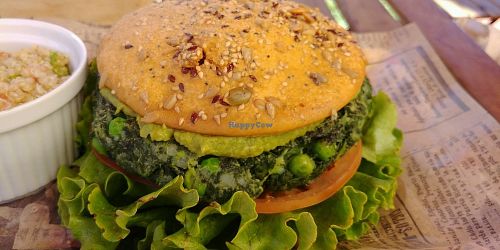 burguer at The Burger Cafe in Tenerife