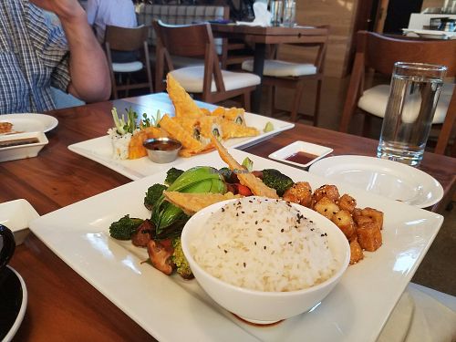 hibachi veggie plate and boogie veggie roll at Maru Sushi in Kalamazoo