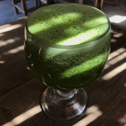 Green juice at Schizandra in Oaxaca