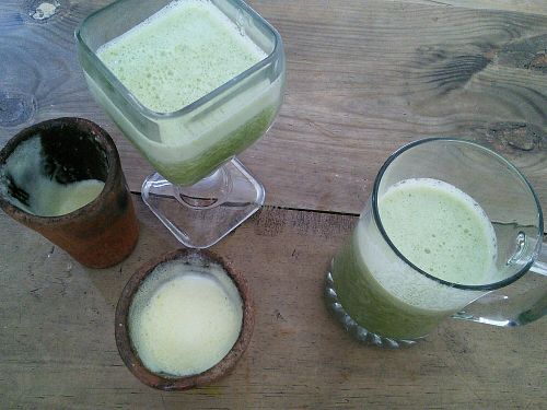 Gigantic juices! at Schizandra in Oaxaca