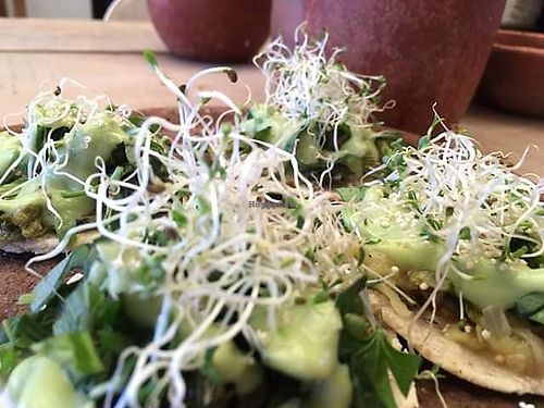 tostadas at Schizandra in Oaxaca