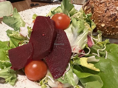 salad  at Burgerei in Dresden